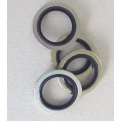 1" - Tetningsring - BSP