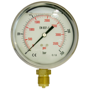 Manometer 100, vertikal 0-250 bar