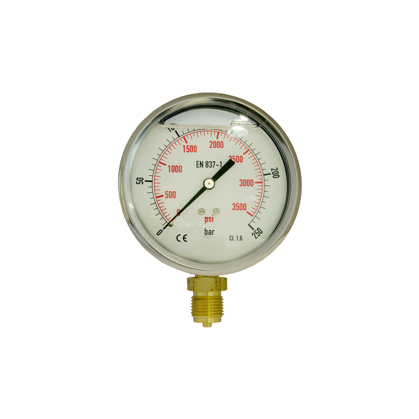 Manometer 100, vertikal 0-250 bar.