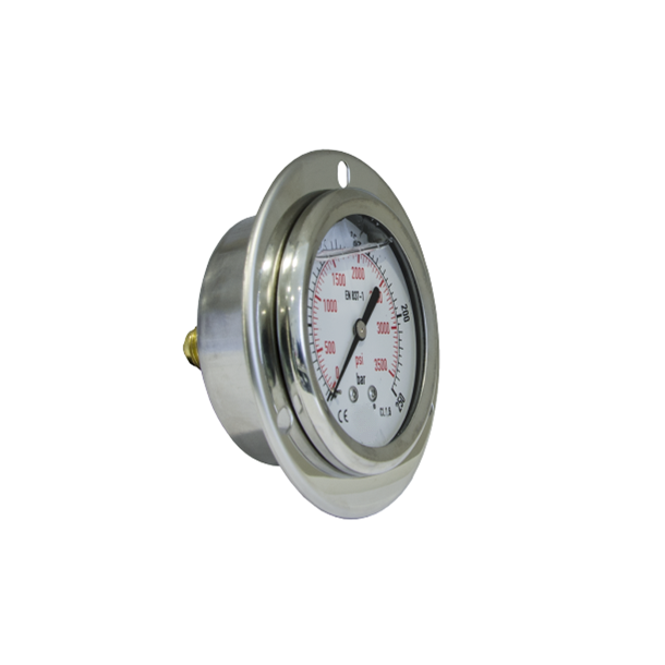 Manometer mit rckseitigem Anschluss 0250 bar